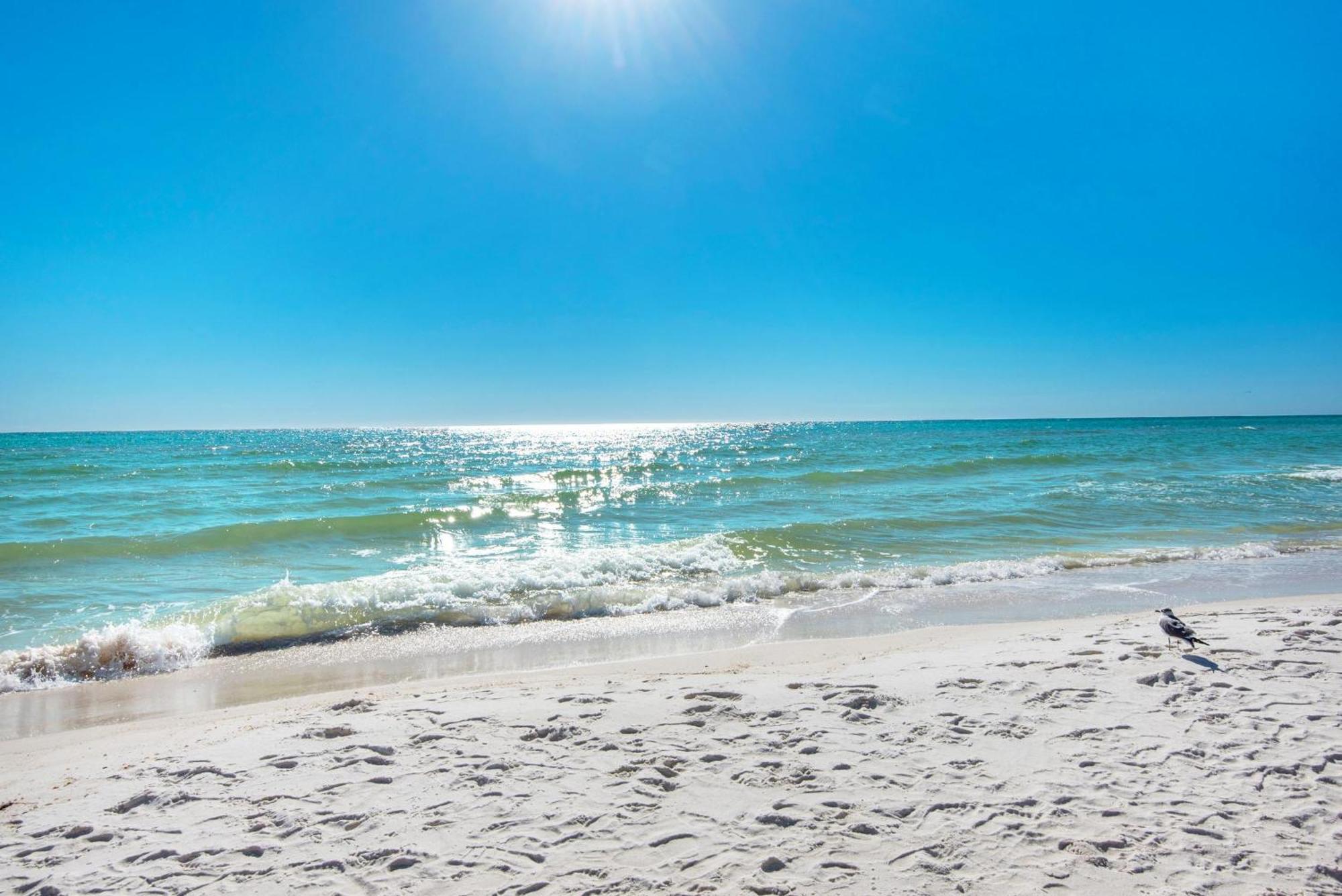 Shores Of Panama 610 Panama City Beach Eksteriør bilde